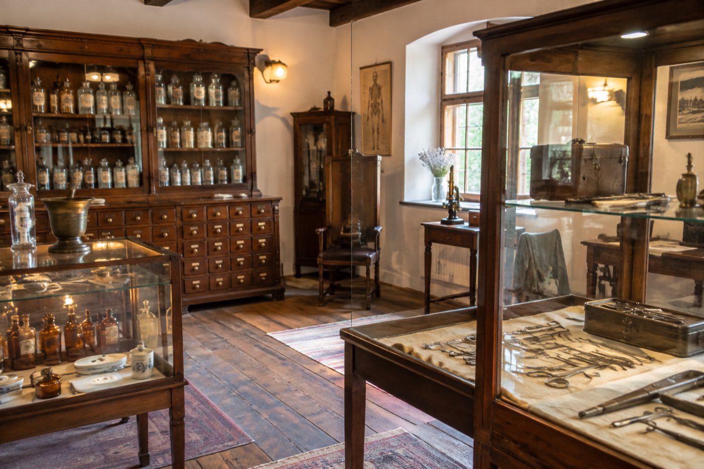 Muzeum Historii Medycyny - grafika poglądowa