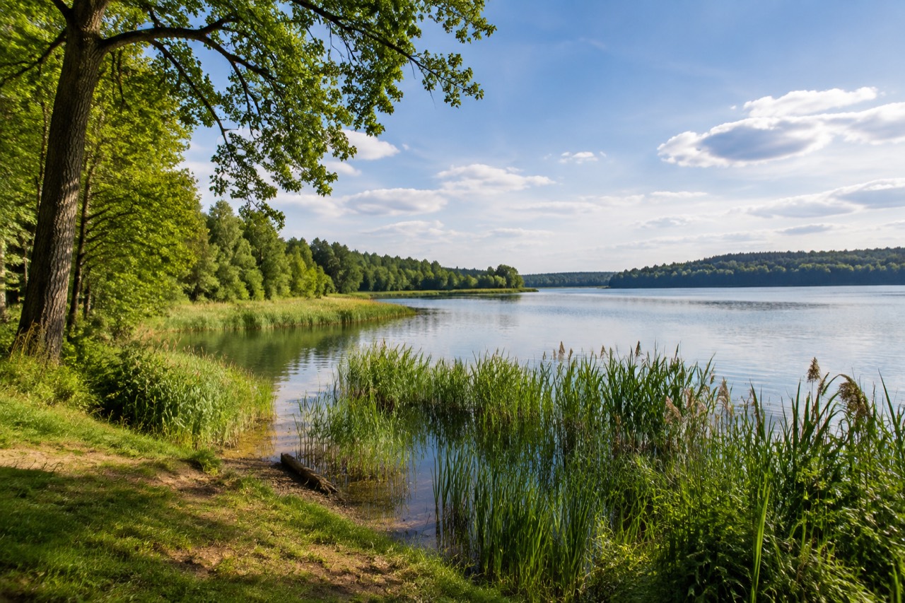 Park Krajobrazowy Pojezierza Iławskiego - grafika poglądowa