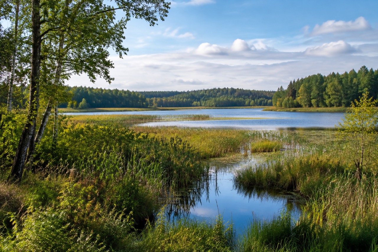 Park Krajobrazowy Puszczy Rominckiej - grafika poglądowa