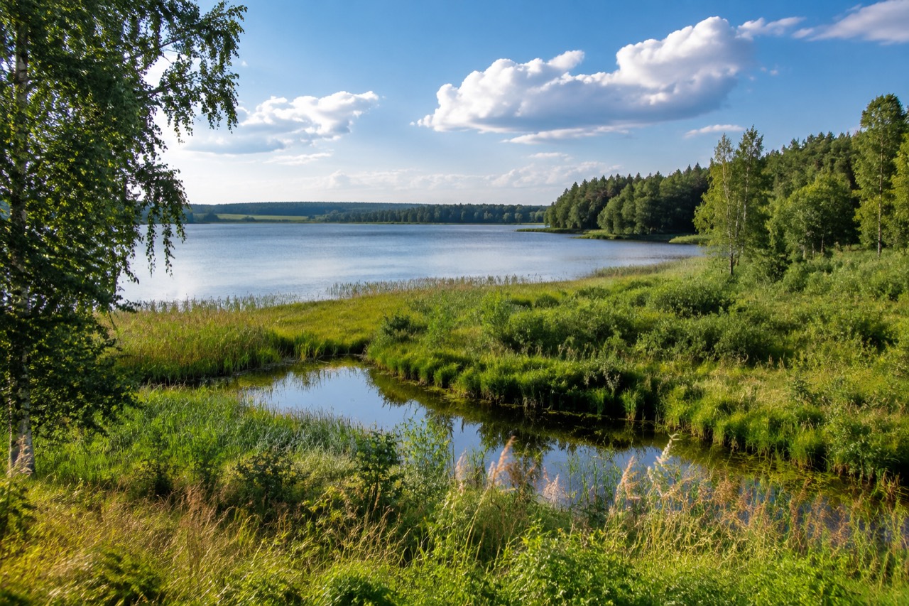 Park Krajobrazowy Wysoczyzny Elbląskiej - grafika poglądowa