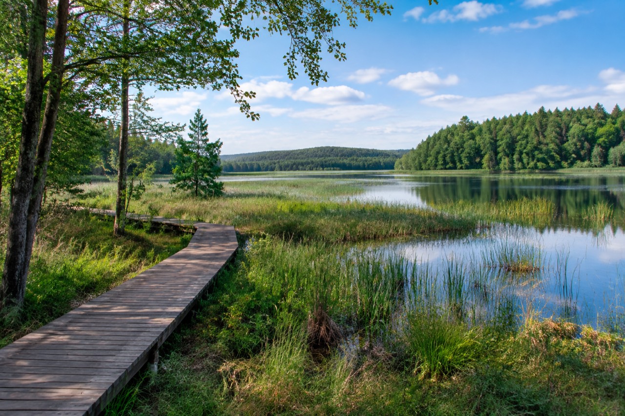 Park Krajobrazowy Wzgórz Dylewskich - grafika poglądowa