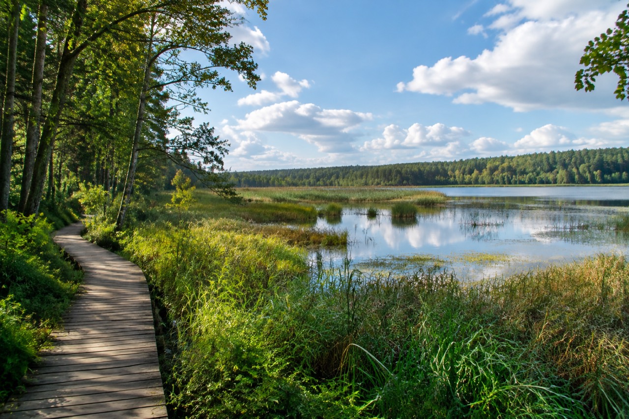 Rezerwat Cielętnik - grafika poglądowa