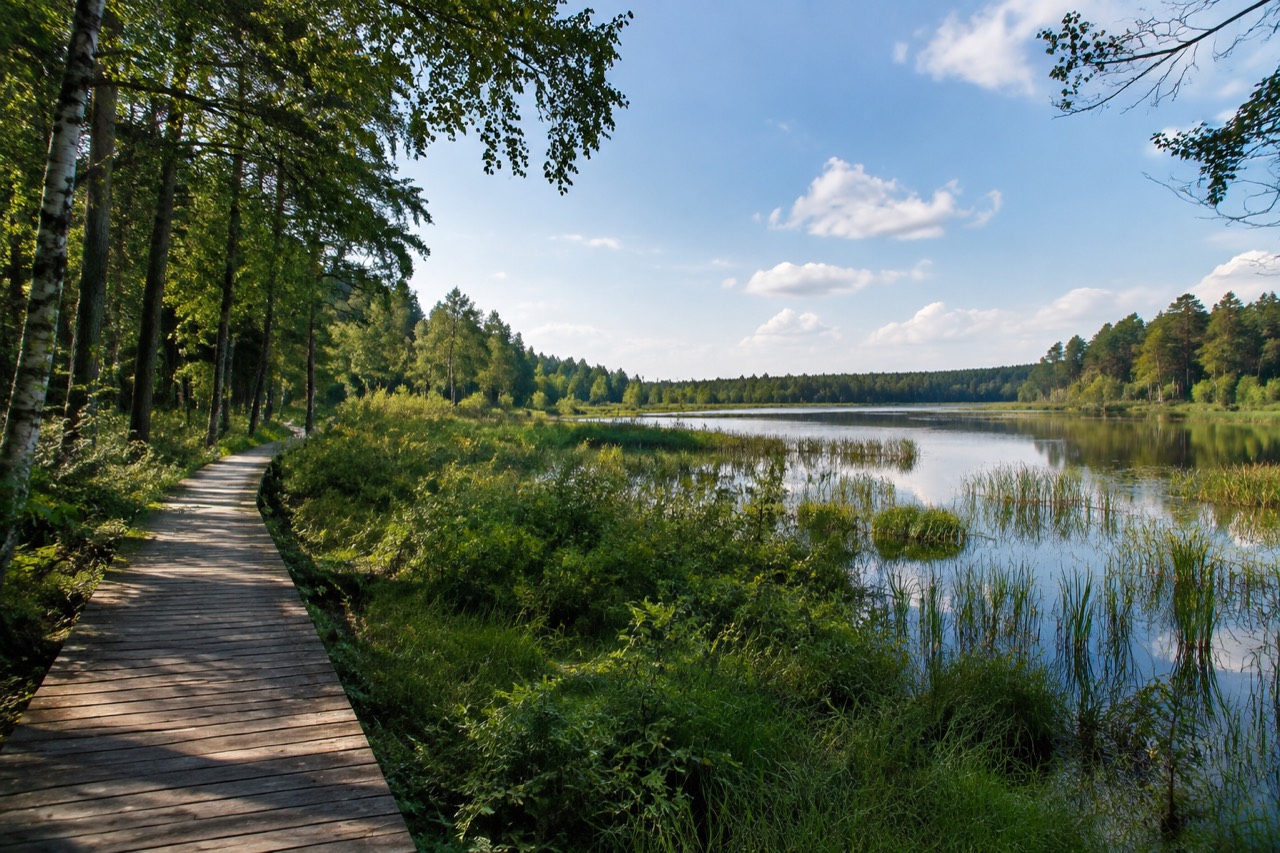 Rezerwat Galwica - grafika poglądowa
