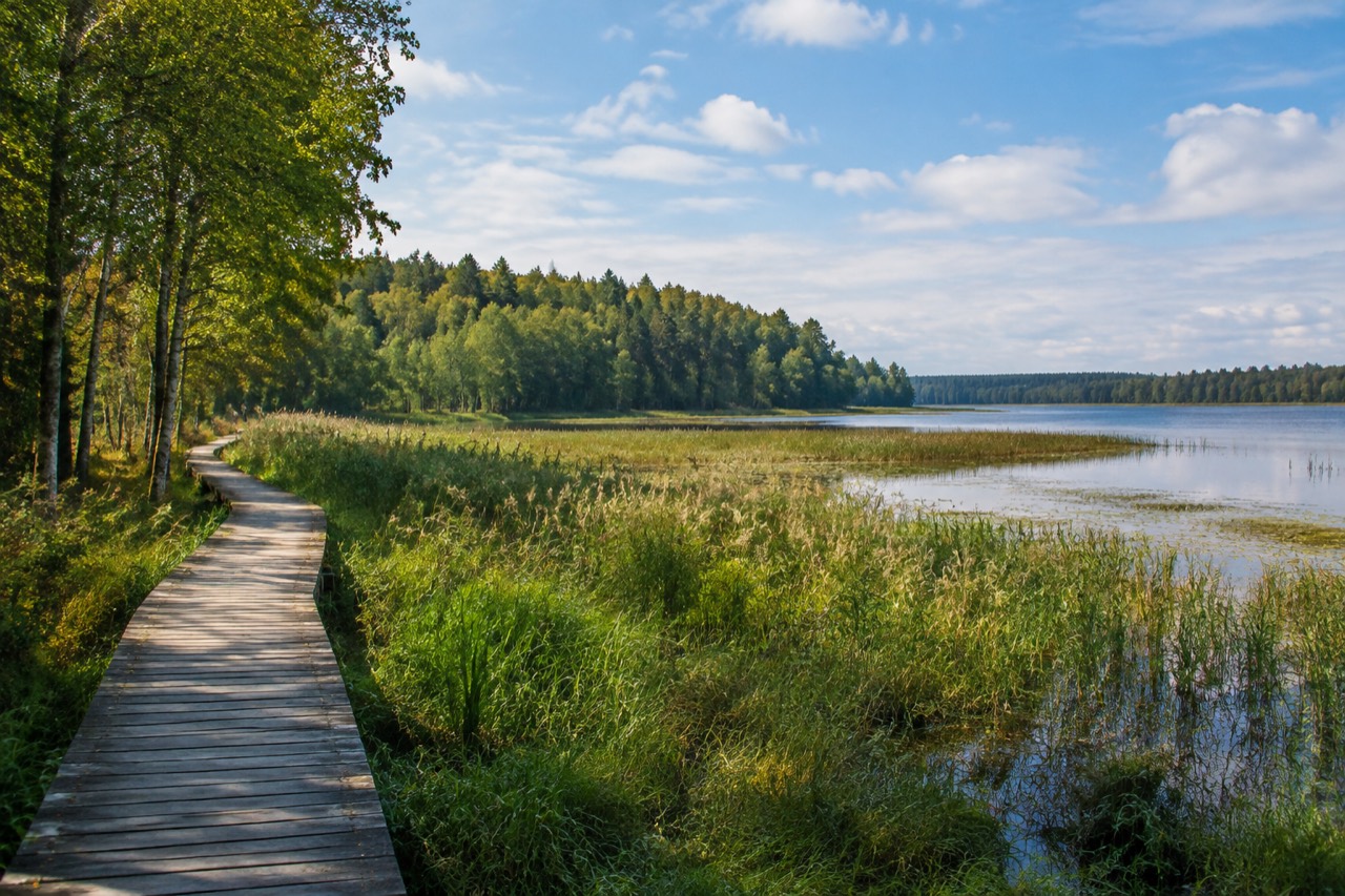 Rezerwat Jasne - grafika poglądowa