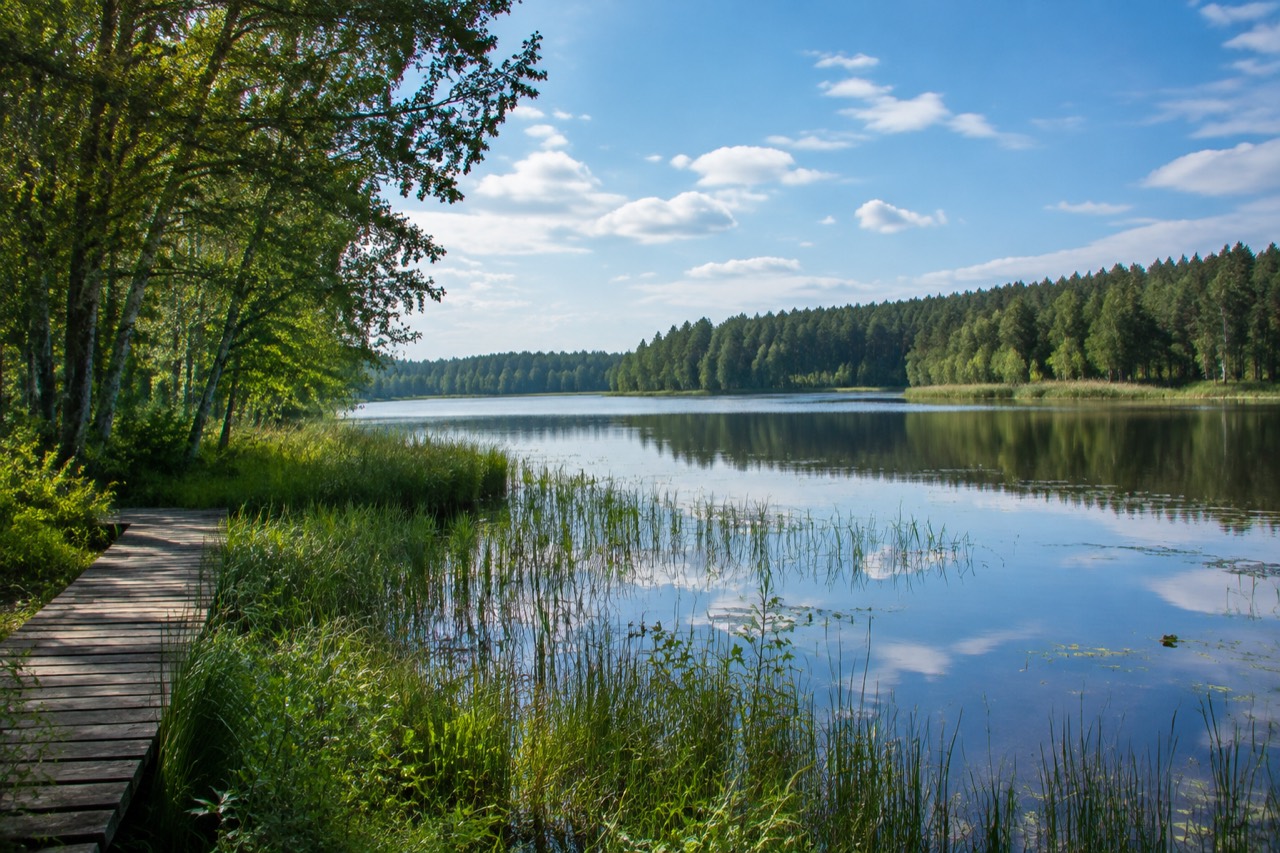 Rezerwat Jezioro Dobskie - grafika poglądowa