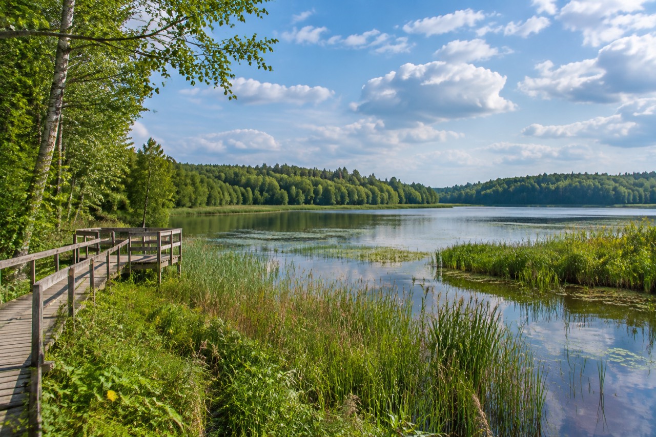 Rezerwat Jezioro Iłgi - grafika poglądowa
