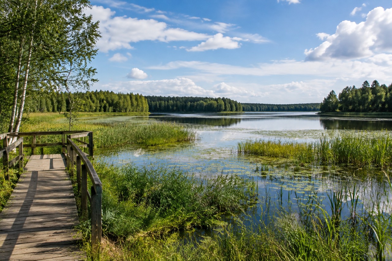 Rezerwat Jezioro Neliwa - grafika poglądowa