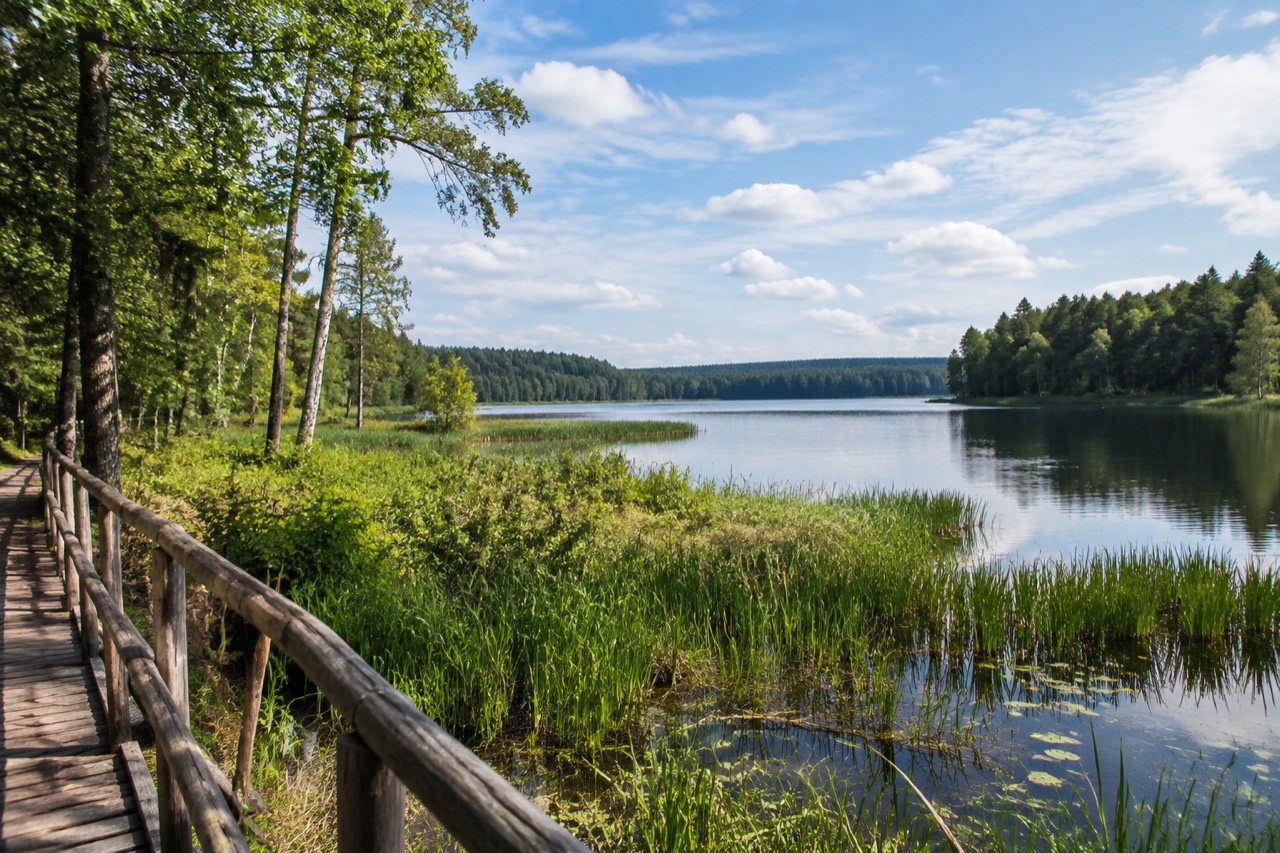 Rezerwat Jezioro Nidzkie - grafika poglądowa