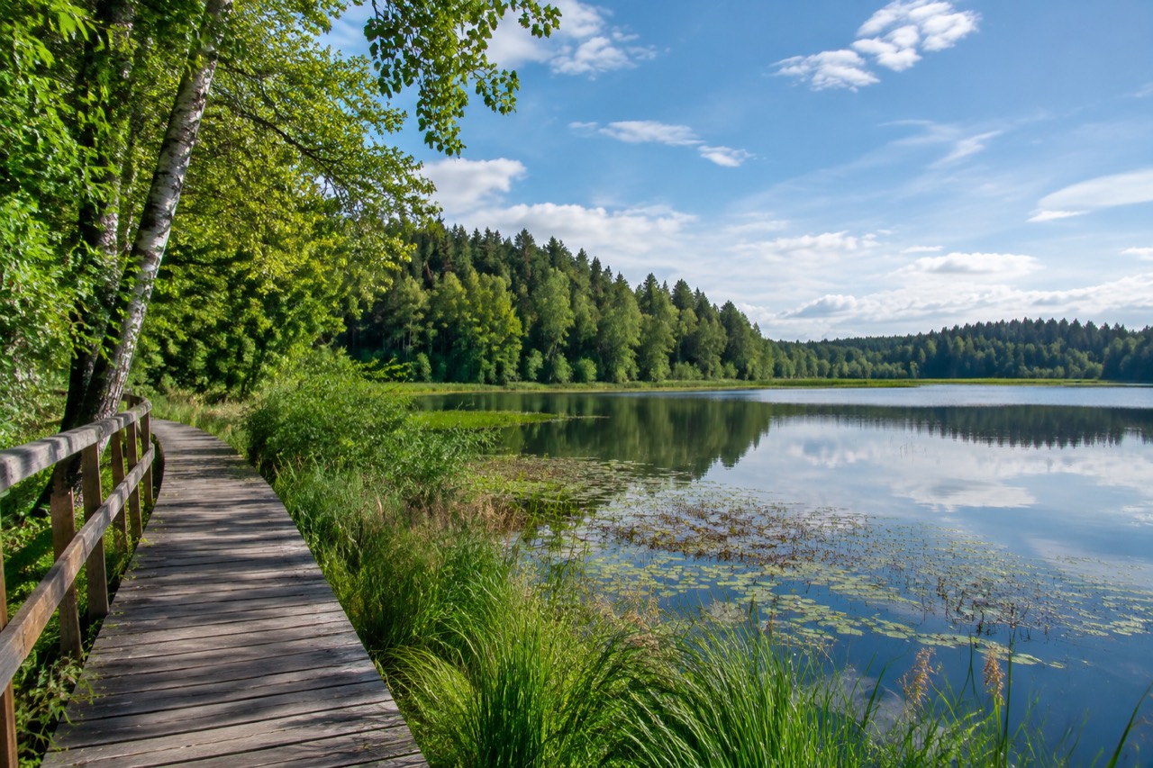 Rezerwat Jezioro Zdedy - grafika poglądowa