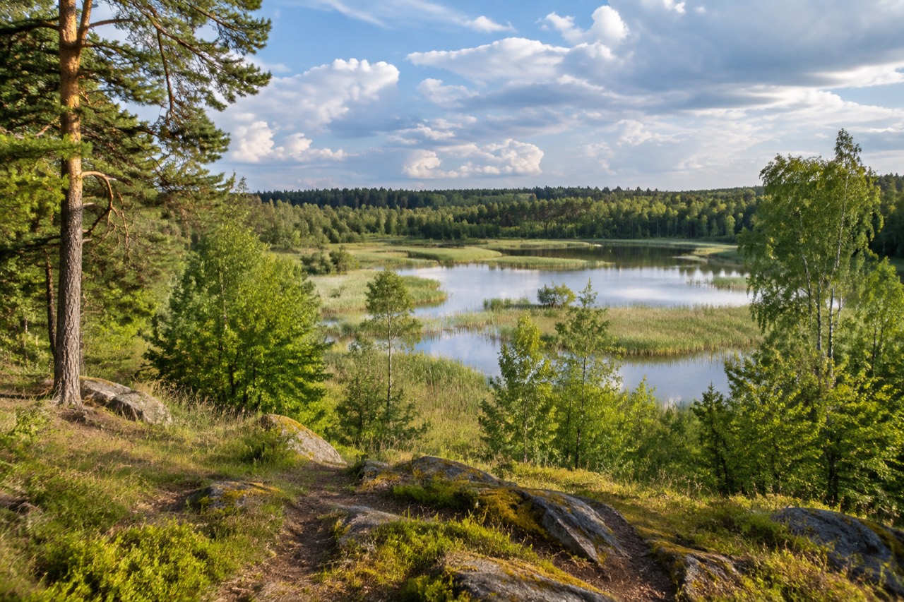 Rezerwat Kamienna Góra - grafika poglądowa