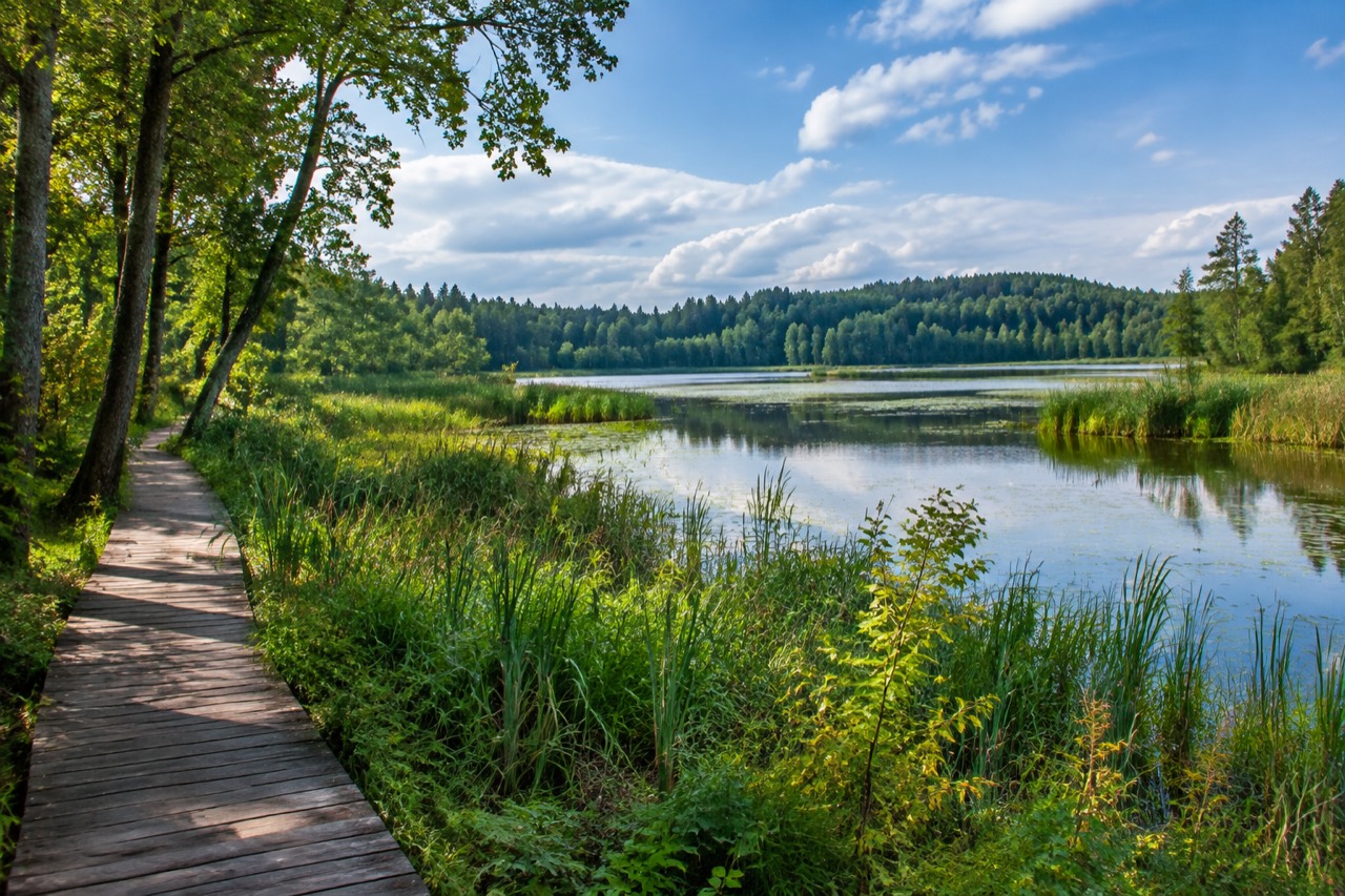 Rezerwat Kulka - grafika poglądowa