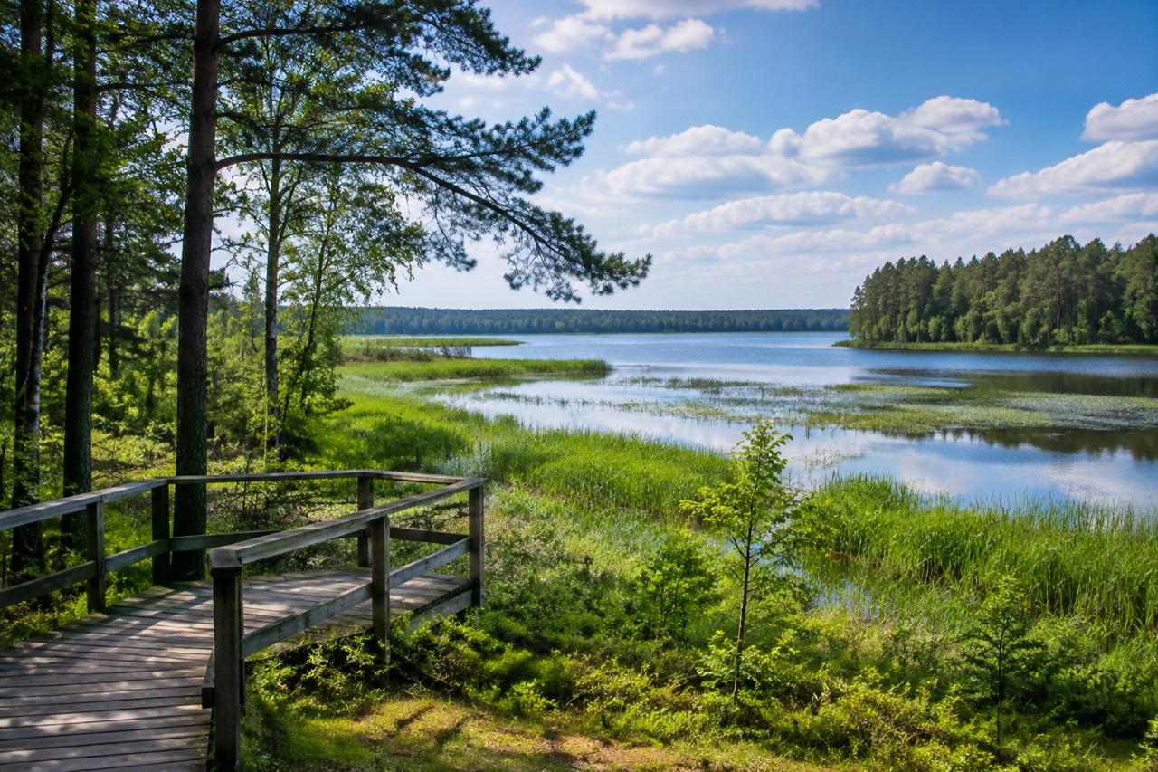 Rezerwat Mazury - grafika poglądowa
