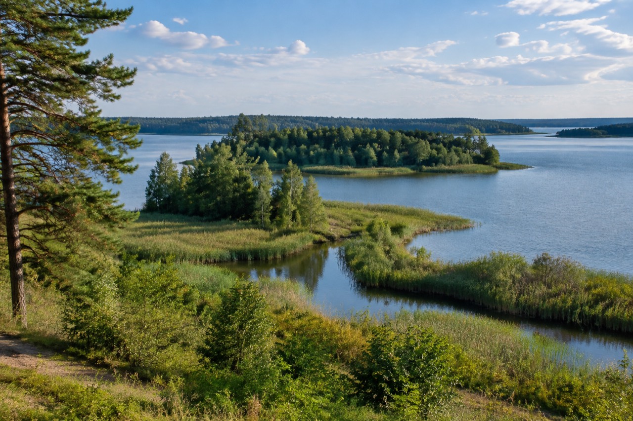 Rezerwat Półwysep i wyspy na Jeziorze Rydzewskim - grafika poglądowa
