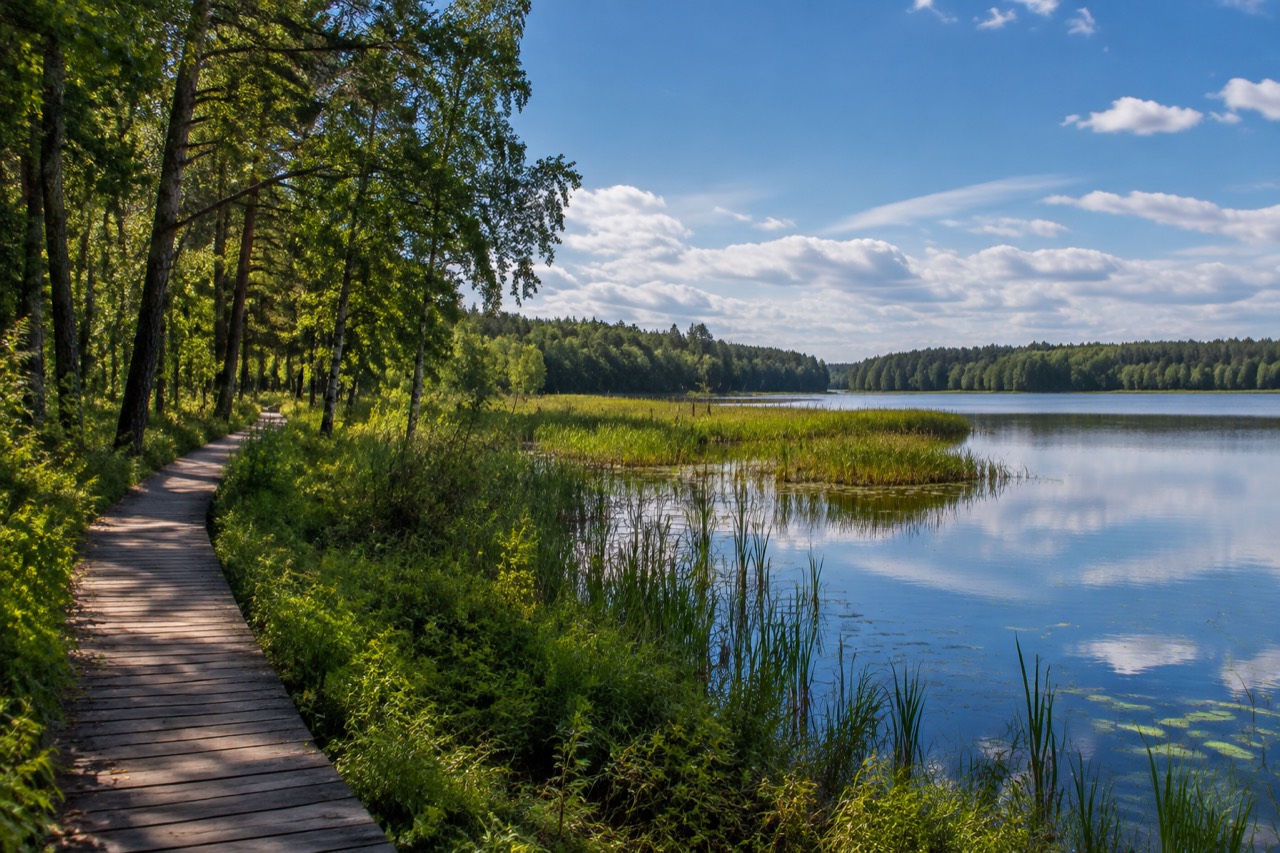 Rezerwat Redykajny - grafika poglądowa
