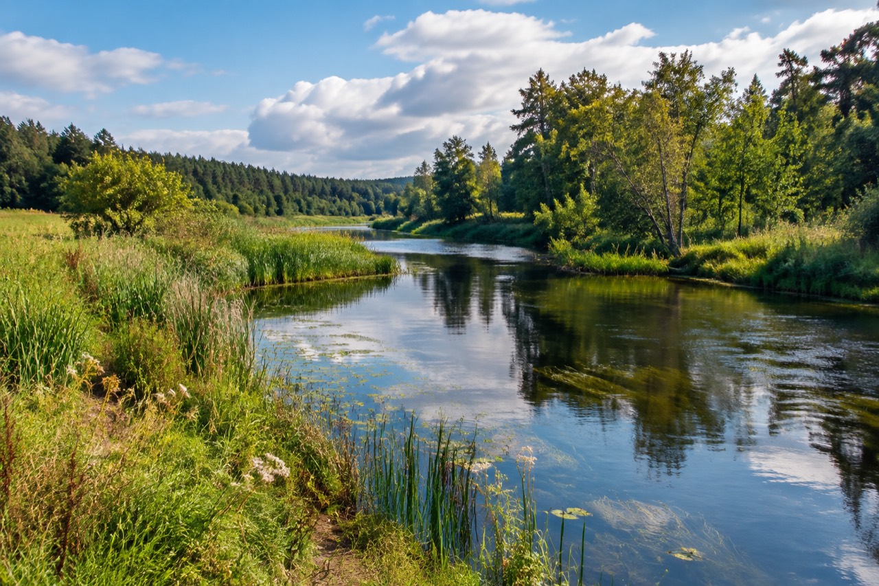 Rezerwat Rzeka Drwęca - grafika poglądowa