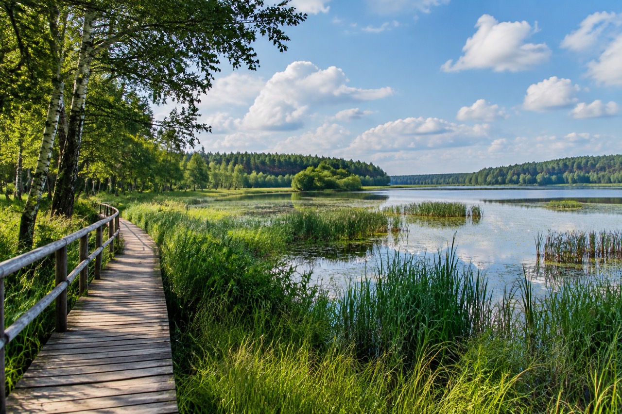 Rezerwat Sołtysek - grafika poglądowa