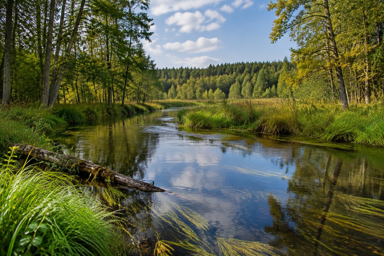Rezerwat Struga Żytkiejmska - grafika poglądowa