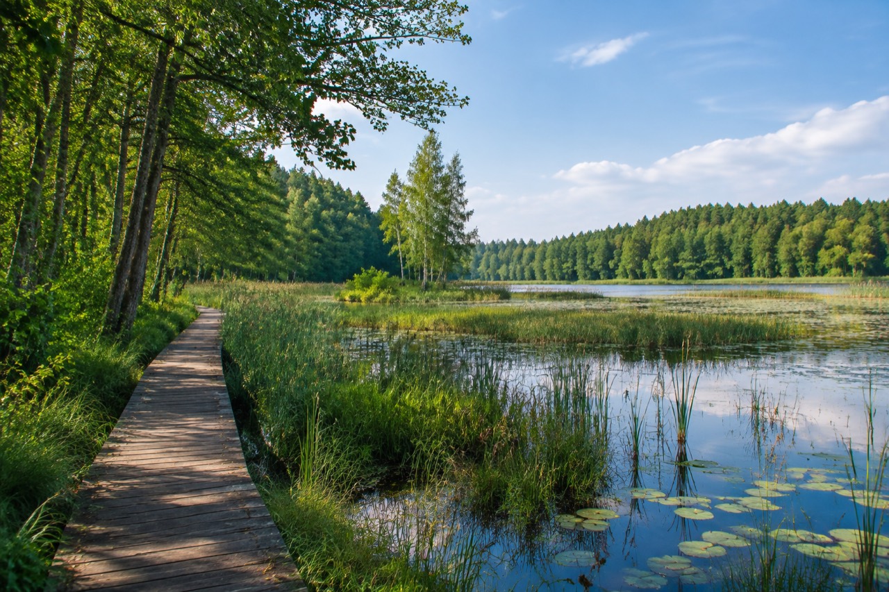 Rezerwat Strzałowo - grafika poglądowa