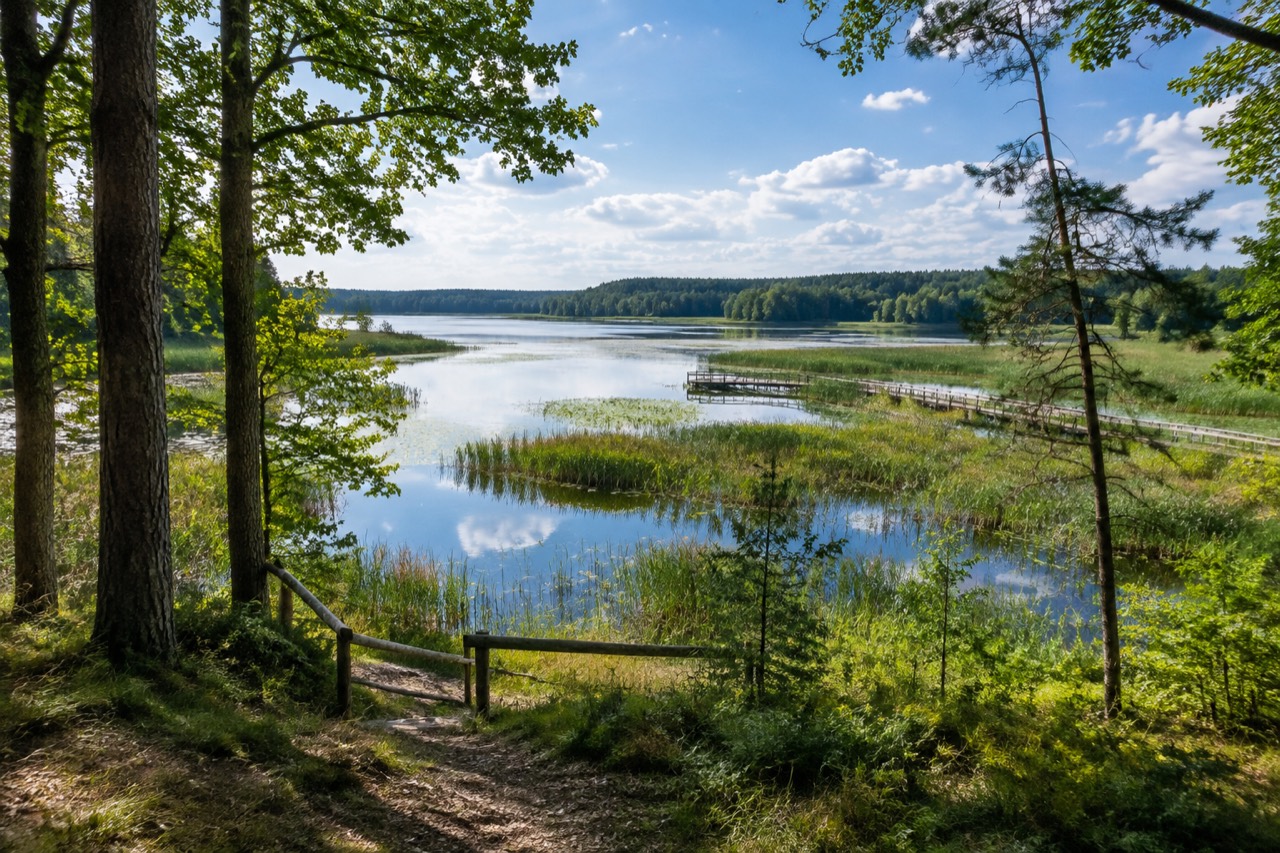 Welski Park Krajobrazowy - grafika poglądowa